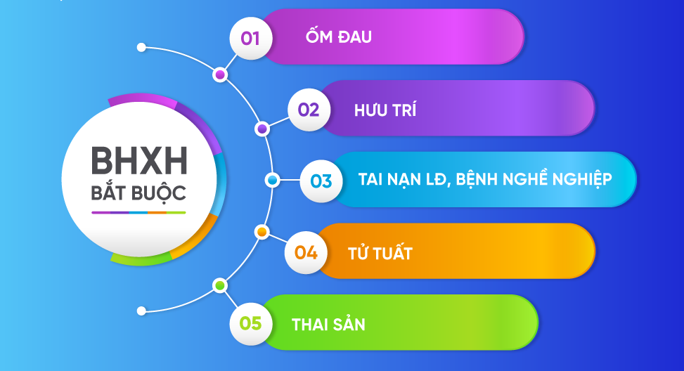 Công Ty Trách Nhiệm Hữu Hạn VERION