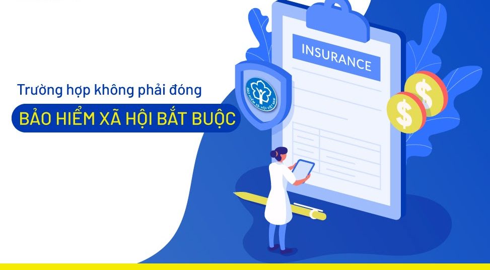 Công Ty Trách Nhiệm Hữu Hạn VERION
